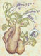 "Knallwurz", 17 x 12 cm, Aquarell auf Papier, 2012