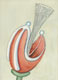 "Maulwedel", 17 x 12 cm, Aquarell auf Papier, 2012